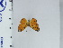  ( - DZ67.005)  @11 [ ] c (2024) Diego Dolibaina UFPR