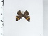  ( - OM59.464)  @11 [ ] c (2024) Diego Dolibaina UFPR