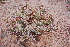  ( - CM-690C)  @11 [ ] Copyright (2019) Hight FuEDEI