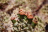  ( - CM-690D)  @11 [ ] Copyright (2019) Hight FuEDEI