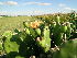  ( - CM-713B)  @11 [ ] Copyright (2019) Fuentes FuEDEI