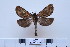  ( - BC-CGCM-13.788)  @13 [ ] Copyright (2010) Unspecified Research Collection of Carlos Mielke