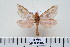  ( - BC-CGCM-18.589)  @14 [ ] Copyright (2010) Unspecified Research Collection of Carlos Mielke