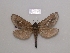  ( - BC-CGCM 29778)  @14 [ ] Unspecified (default): All Rights Reserved  Unspecified Unspecified