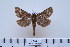  ( - BC-CGCM-7.638)  @13 [ ] Copyright (2010) Unspecified Research Collection of Carlos Mielke