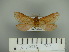  ( - BC-CLAM 03)  @13 [ ] Copyright (2010) Unspecified Research Collection of Carlos Mielke