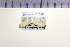  ( - HNU 487)  @11 [ ] CreativeCommons - Attribution Share-Alike (2015) Unspecified Seoul National Uiversity