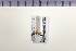  ( - HNU 566)  @11 [ ] CreativeCommons - Attribution Share-Alike (2015) Unspecified Seoul National Uiversity