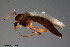 ( - CMM-CH123)  @11 [ ] Creative Commons  Attribution Non-Commercial Share-Alike (2023) NTNU University Museum, Department of Natural History NTNU University Museum, Department of Natural History
