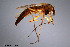  ( - CMM-CH124)  @11 [ ] Creative Commons  Attribution Non-Commercial Share-Alike (2023) NTNU University Museum, Department of Natural History NTNU University Museum, Department of Natural History