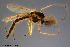  ( - CMM-CH127)  @11 [ ] Creative Commons  Attribution Non-Commercial Share-Alike (2023) NTNU University Museum, Department of Natural History NTNU University Museum, Department of Natural History