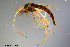  ( - CMM-CH129)  @11 [ ] Creative Commons  Attribution Non-Commercial Share-Alike (2023) NTNU University Museum, Department of Natural History NTNU University Museum, Department of Natural History