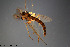  ( - CMM-CH130)  @11 [ ] Creative Commons  Attribution Non-Commercial Share-Alike (2023) NTNU University Museum, Department of Natural History NTNU University Museum, Department of Natural History
