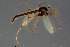  ( - CMM-CH140)  @11 [ ] Creative Commons  Attribution Non-Commercial Share-Alike (2023) NTNU University Museum, Department of Natural History NTNU University Museum, Department of Natural History