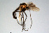  ( - CMM-CH144)  @11 [ ] Creative Commons  Attribution Non-Commercial Share-Alike (2023) NTNU University Museum, Department of Natural History NTNU University Museum, Department of Natural History
