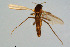  ( - CMM-CH157)  @11 [ ] Creative Commons  Attribution Non-Commercial Share-Alike (2023) NTNU University Museum, Department of Natural History NTNU University Museum, Department of Natural History