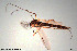  ( - CMM-CH16)  @11 [ ] Creative Commons  Attribution Non-Commercial Share-Alike (2022) NTNU University Museum, Department of Natural History NTNU University Museum, Department of Natural History