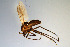  ( - CMM-CH199)  @11 [ ] Creative Commons  Attribution Non-Commercial Share-Alike (2023) NTNU University Museum, Department of Natural History NTNU University Museum, Department of Natural History