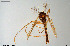  ( - CMM-CH212)  @11 [ ] Creative Commons  Attribution Non-Commercial Share-Alike (2023) NTNU University Museum, Department of Natural History NTNU University Museum, Department of Natural History