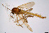  ( - CMM-CH216)  @11 [ ] Creative Commons  Attribution Non-Commercial Share-Alike (2023) NTNU University Museum, Department of Natural History NTNU University Museum, Department of Natural History