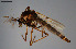  ( - CMM-CH224)  @11 [ ] Creative Commons  Attribution Non-Commercial Share-Alike (2023) NTNU University Museum, Department of Natural History NTNU University Museum, Department of Natural History