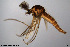  ( - CMM-CH226)  @11 [ ] Creative Commons  Attribution Non-Commercial Share-Alike (2023) NTNU University Museum, Department of Natural History NTNU University Museum, Department of Natural History