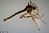 ( - CMM-CH245)  @11 [ ] Creative Commons  Attribution Non-Commercial Share-Alike (2023) NTNU University Museum, Department of Natural History NTNU University Museum, Department of Natural History