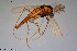  ( - CMM-CH254)  @11 [ ] Creative Commons  Attribution Non-Commercial Share-Alike (2023) NTNU University Museum, Department of Natural History NTNU University Museum, Department of Natural History