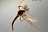  ( - CMM-CH256)  @11 [ ] Creative Commons  Attribution Non-Commercial Share-Alike (2023) NTNU University Museum, Department of Natural History NTNU University Museum, Department of Natural History