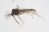  ( - CMM-CH280)  @11 [ ] Creative Commons  Attribution Non-Commercial Share-Alike (2024) NTNU University Museum, Department of Natural History NTNU University Museum, Department of Natural History