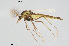  ( - CMM-CH283)  @11 [ ] Creative Commons  Attribution Non-Commercial Share-Alike (2024) NTNU University Museum, Department of Natural History NTNU University Museum, Department of Natural History