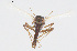  ( - CMM-CH285)  @11 [ ] Creative Commons  Attribution Non-Commercial Share-Alike (2024) NTNU University Museum, Department of Natural History NTNU University Museum, Department of Natural History