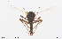  ( - CMM-CH285)  @11 [ ] Creative Commons  Attribution Non-Commercial Share-Alike (2024) NTNU University Museum, Department of Natural History NTNU University Museum, Department of Natural History