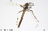  ( - CMM-CH288)  @11 [ ] Creative Commons  Attribution Non-Commercial Share-Alike (2024) NTNU University Museum, Department of Natural History NTNU University Museum, Department of Natural History