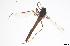  ( - CMM-CH288)  @11 [ ] Creative Commons  Attribution Non-Commercial Share-Alike (2024) NTNU University Museum, Department of Natural History NTNU University Museum, Department of Natural History