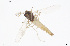  ( - CMM-CH291)  @11 [ ] Creative Commons  Attribution Non-Commercial Share-Alike (2024) NTNU University Museum, Department of Natural History NTNU University Museum, Department of Natural History