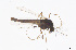  ( - CMM-CH292)  @11 [ ] Creative Commons  Attribution Non-Commercial Share-Alike (2024) NTNU University Museum, Department of Natural History NTNU University Museum, Department of Natural History
