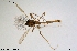  ( - CMM-CH298)  @11 [ ] Creative Commons  Attribution Non-Commercial Share-Alike (2024) NTNU University Museum, Department of Natural History NTNU University Museum, Department of Natural History