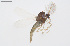  ( - CMM-CH329)  @11 [ ] Creative Commons  Attribution Non-Commercial Share-Alike (2024) NTNU University Museum, Department of Natural History NTNU University Museum, Department of Natural History