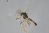  ( - CMM-CH331)  @11 [ ] Creative Commons  Attribution Non-Commercial Share-Alike (2024) NTNU University Museum, Department of Natural History NTNU University Museum, Department of Natural History