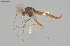  ( - CMM-CH362)  @11 [ ] Creative Commons  Attribution Non-Commercial Share-Alike (2024) NTNU University Museum, Department of Natural History NTNU University Museum, Department of Natural History