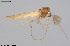  ( - CMM-CH365)  @11 [ ] Creative Commons  Attribution Non-Commercial Share-Alike (2024) NTNU University Museum, Department of Natural History NTNU University Museum, Department of Natural History
