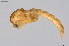 ( - CMM-CH379)  @11 [ ] Creative Commons  Attribution Non-Commercial Share-Alike (2024) NTNU University Museum, Department of Natural History NTNU University Museum, Department of Natural History