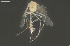  ( - CMM-CH380)  @11 [ ] Creative Commons  Attribution Non-Commercial Share-Alike (2024) NTNU University Museum, Department of Natural History NTNU University Museum, Department of Natural History
