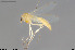  ( - CMM-CH383)  @11 [ ] Creative Commons  Attribution Non-Commercial Share-Alike (2024) NTNU University Museum, Department of Natural History NTNU University Museum, Department of Natural History