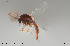  ( - CMM-CH395)  @11 [ ] Creative Commons  Attribution Non-Commercial Share-Alike (2024) NTNU University Museum, Department of Natural History NTNU University Museum, Department of Natural History