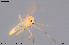  ( - CMM-CH408)  @11 [ ] Creative Commons  Attribution Non-Commercial Share-Alike (2024) NTNU University Museum, Department of Natural History NTNU University Museum, Department of Natural History