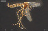  ( - CMM-CH430)  @11 [ ] Creative Commons  Attribution Non-Commercial Share-Alike (2024) NTNU University Museum, Department of Natural History NTNU University Museum, Department of Natural History