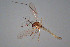 ( - CMM-CH53)  @11 [ ] Creative Commons  Attribution Non-Commercial Share-Alike (2022) NTNU University Museum, Department of Natural History NTNU University Museum, Department of Natural History