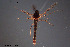  ( - CMM-CH97)  @11 [ ] Creative Commons  Attribution Non-Commercial Share-Alike (2023) NTNU University Museum, Department of Natural History NTNU University Museum, Department of Natural History